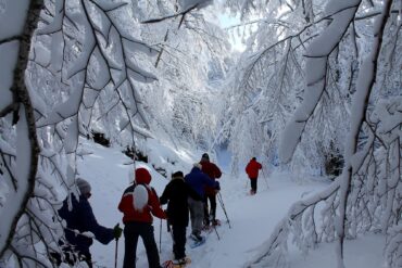 Ciaspolata nel bosco innevato del Pollino